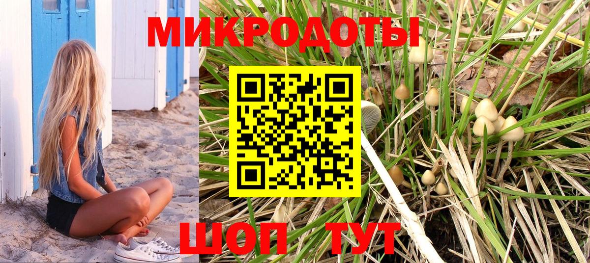 как найти закладки  Псилоцибиновые грибы мухоморы  Вход с VPN  Железноводск 