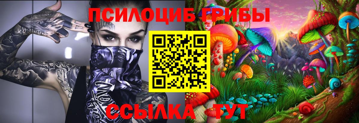 Галлюциногенные грибы мухоморы Железноводск